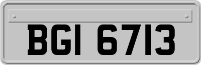 BGI6713