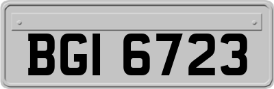 BGI6723