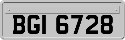 BGI6728