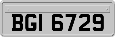 BGI6729