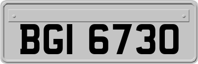 BGI6730