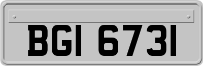 BGI6731