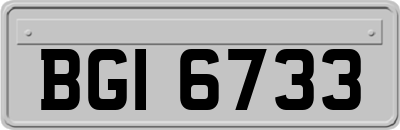 BGI6733