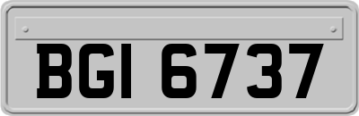 BGI6737