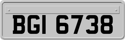 BGI6738