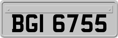 BGI6755