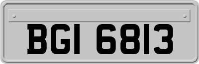 BGI6813