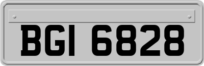 BGI6828