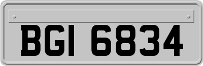 BGI6834
