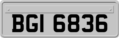 BGI6836