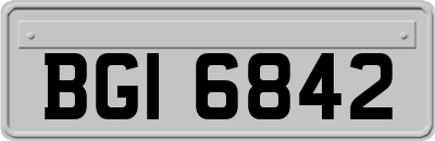 BGI6842