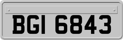 BGI6843