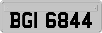 BGI6844
