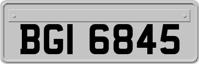 BGI6845
