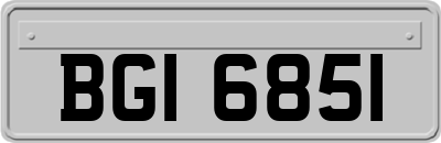 BGI6851