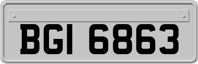 BGI6863