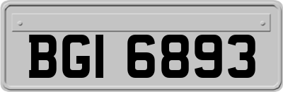 BGI6893