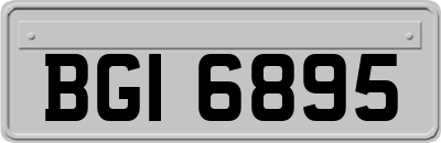BGI6895
