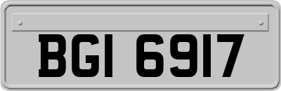 BGI6917