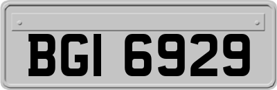 BGI6929