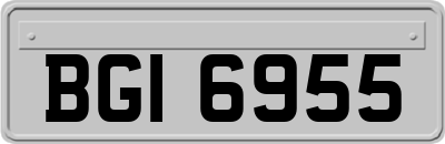 BGI6955
