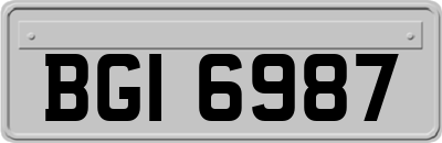 BGI6987