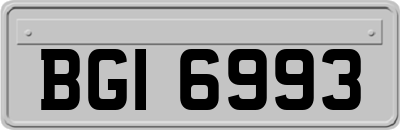 BGI6993