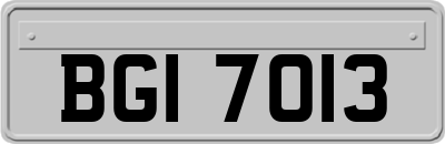 BGI7013
