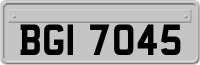 BGI7045
