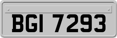 BGI7293