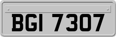 BGI7307