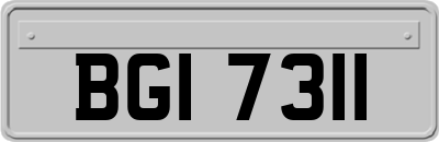 BGI7311