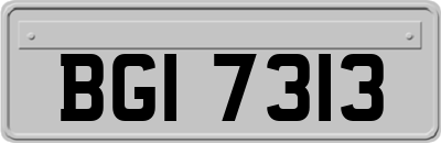 BGI7313