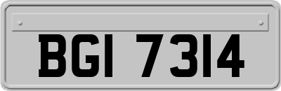 BGI7314