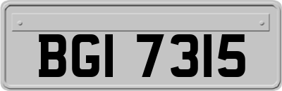 BGI7315