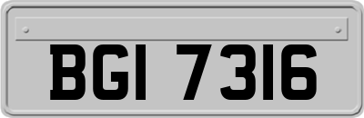 BGI7316