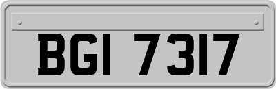 BGI7317