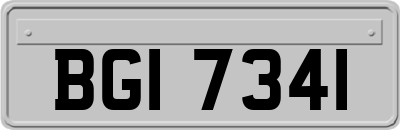 BGI7341