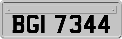 BGI7344