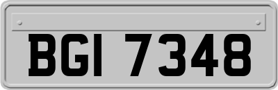 BGI7348