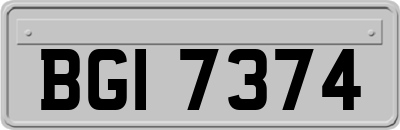 BGI7374