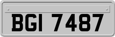BGI7487