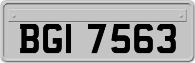 BGI7563