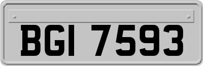 BGI7593