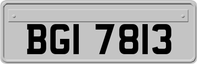 BGI7813
