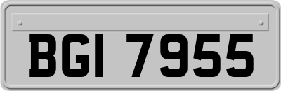 BGI7955
