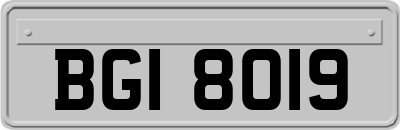 BGI8019