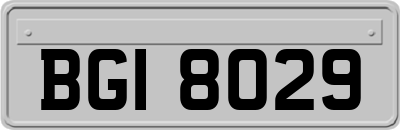 BGI8029