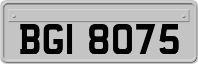 BGI8075