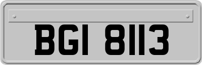 BGI8113